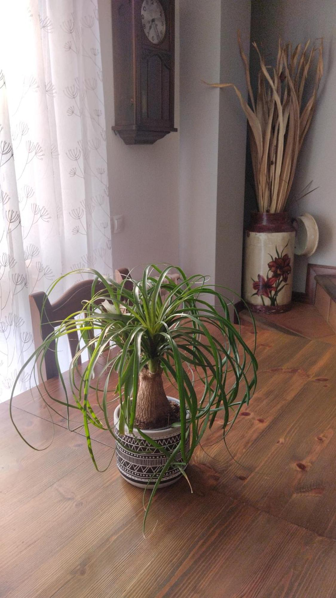 El Balcon De Villapresente Kültér fotó